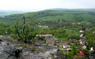 117-1772_IMG-75.jpg (315825 Byte)