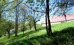 1_Berg.jpg (106111 Byte)