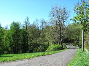 1_Weg.jpg (88694 Byte)